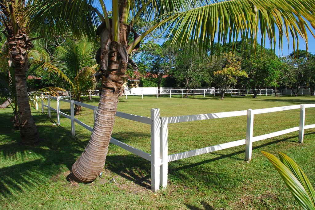 La Finca Miami Eksteriør billede
